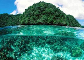 Image2